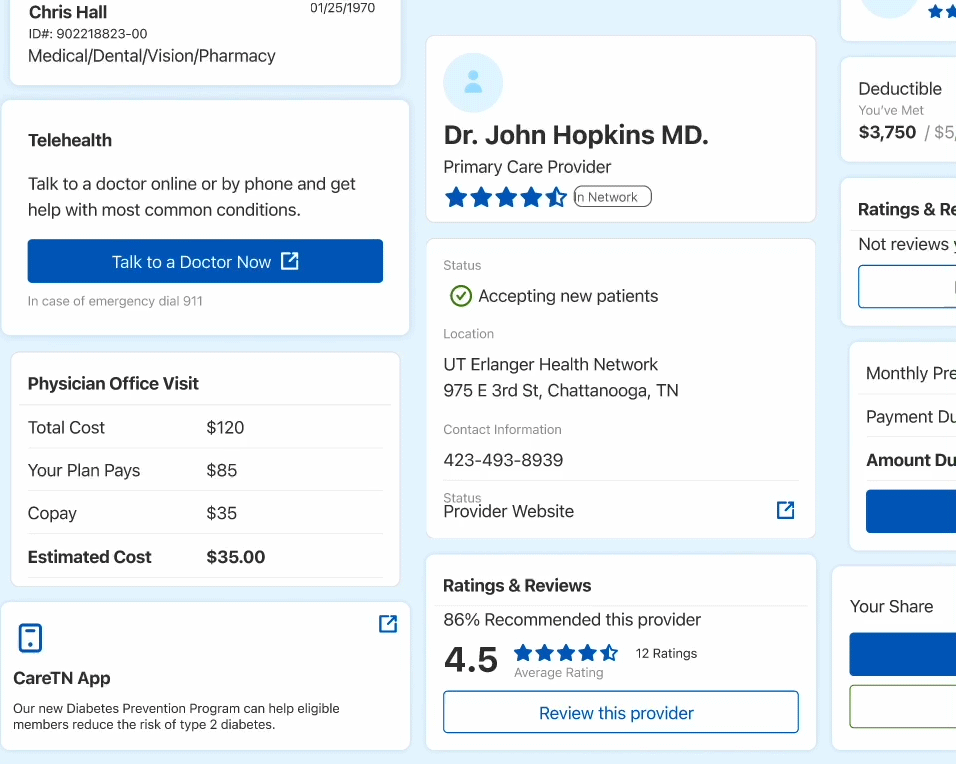 BlueTN App user flow